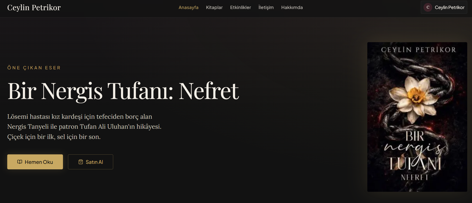 Ceylin Petrikor web sitesi ekran görüntüsü
